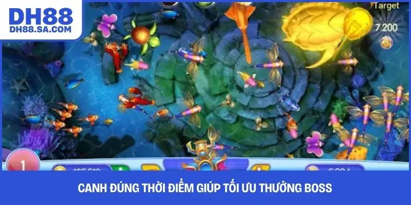 Canh đúng thời điểm giúp tối ưu thưởng boss