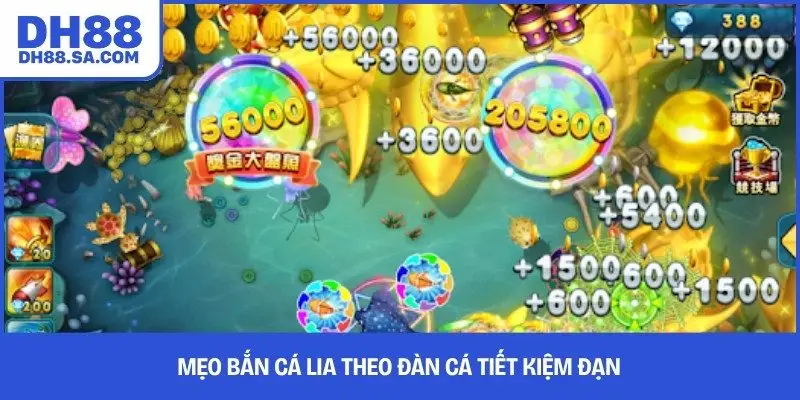 Mẹo bắn cá lia theo đàn cá tiết kiệm đạn