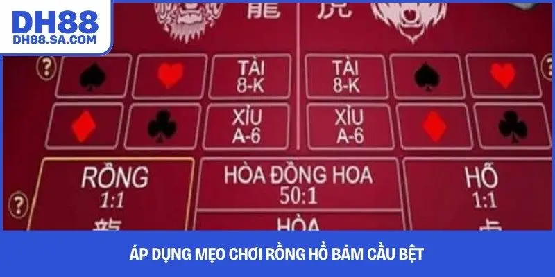 Áp dụng mẹo chơi Rồng Hổ bám cầu bệt