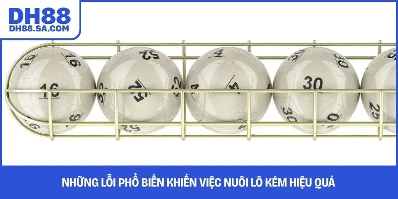 Những lỗi phổ biến khiến việc nuôi lô kém hiệu quả